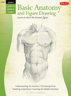 Beginners Guide: Basic Anatomy and Figure Drawing (HT289) (How to Draw & Paint)-Used Condition