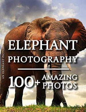 Elephant Picture Book  Elephant Photography: 100+ Amazing Pictures and Photos in this fantastic Elephant Photo Book (Elephant P,Used