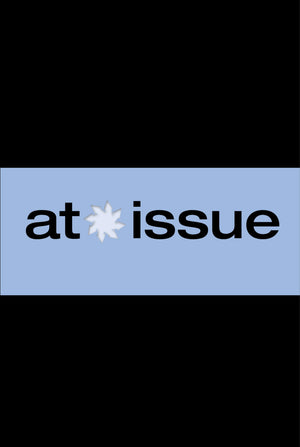 Should Drilling Be Permitted in the Arctic National Wildlife Refuge? (At Issue),Used