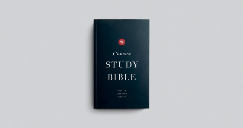 ESV Concise Study Bible, Economy Edition (Paperback),Used