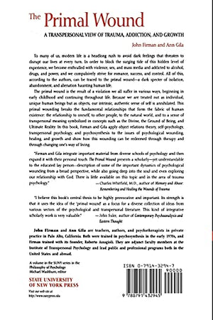 The Primal Wound: A Transpersonal View Of Trauma, Addiction, And Growth (S U N Y Series In The Philosophy Of Psychology) (Suny T,Used