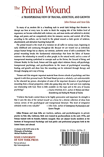 The Primal Wound: A Transpersonal View of Trauma, Addiction, and Growth (Philosophy of Psychology (Dis)),New