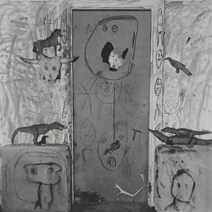 Roger Ballen: Boarding House,Used