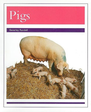 Animals  Pigs: Individual Student Edition Purple (Levels 1920) (Rigby PM Collection),Used