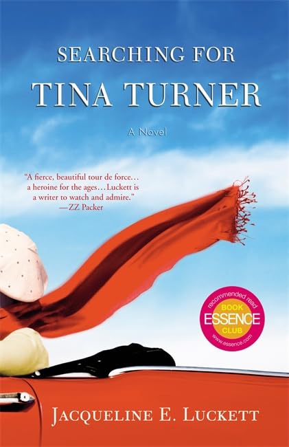 Searching For Tina Turner,Used