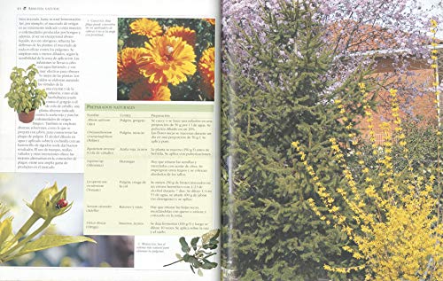El jardn ecolgico (Plantas de Jardn) (Spanish Edition),Used