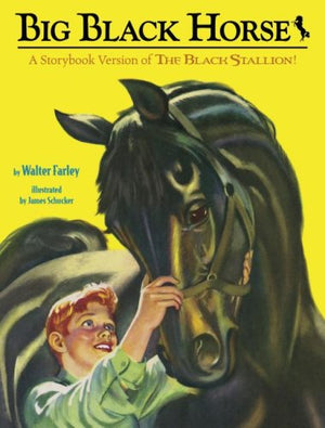 Big Black Horse (Picture Book),Used