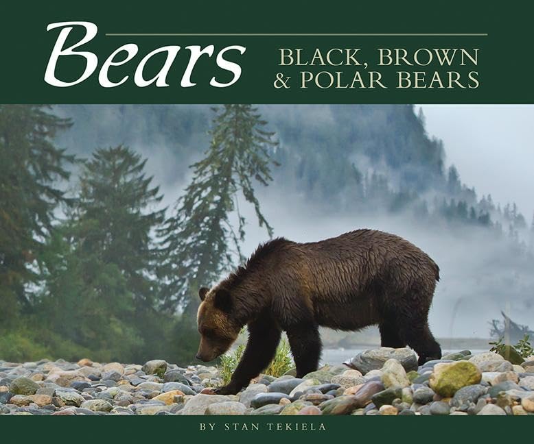 Bears: Black, Brown & Polar Bears (Wildlife Appreciation),Used