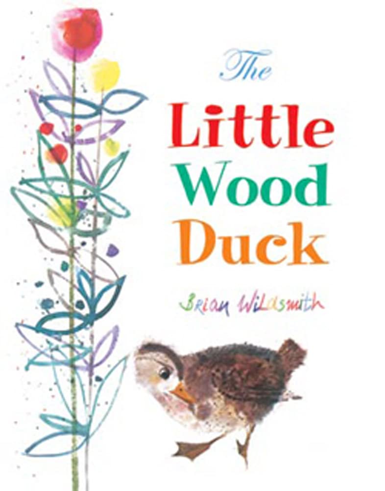 The Little Wood Duck,Used
