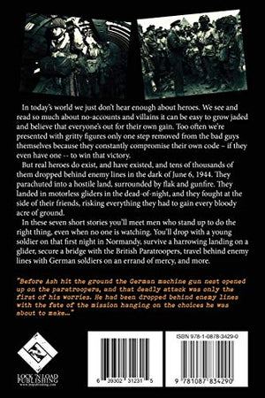 Heroes of Normandy The Untold Stories (Lock 'n Load Tactical),Used