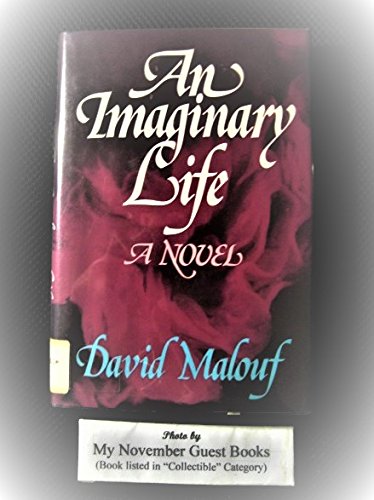 An Imaginary Life: A Novel,Used