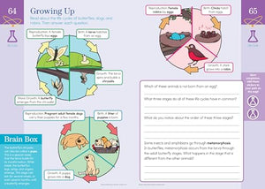 Summer Brain Quest: Between Grades 2 & 3,New