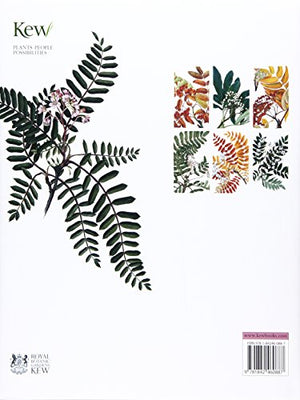 Genus Sorbus: mountain ash and other rowans,Used