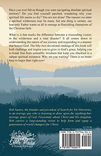 Champions in the Wilderness: FiftyTwo Devotions to Guide and Strengthen Emerging Overcomers,Used