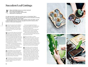 Root, Nurture, Grow: The Essential Guide to Propagating and Sharing Houseplants,New