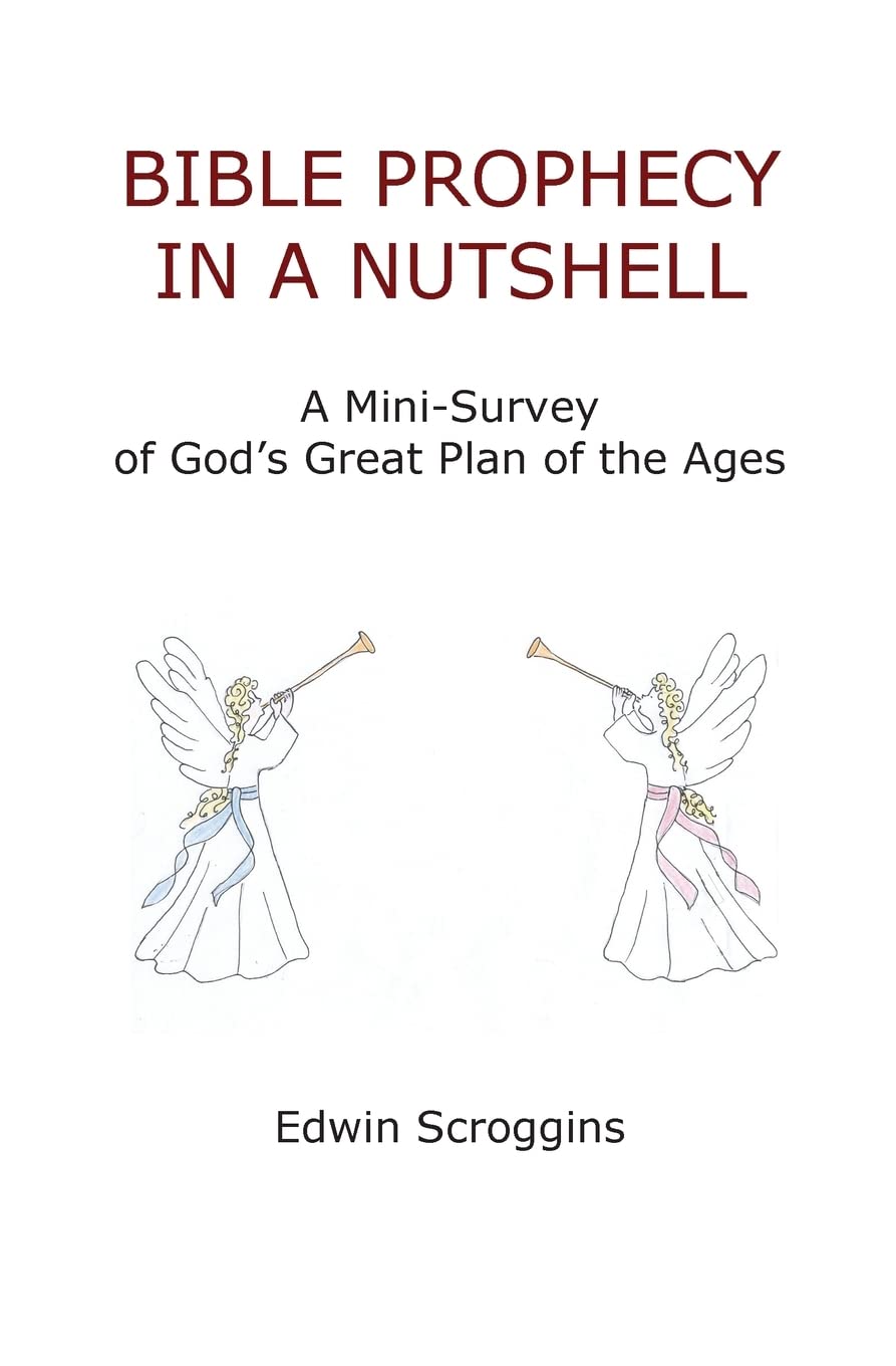 Bible Prophecy in a Nutshell: A MiniSurvey of God's Great Plan of the Ages,Used