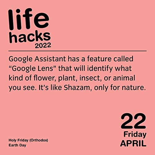Life Hacks 2022 DaytoDay Calendar: Tips, Tricks, and Daily DIYs to Make Your Life a Little More Awesome,Used