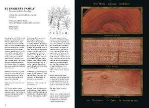 The Woodbook: The Complete Plates,Used