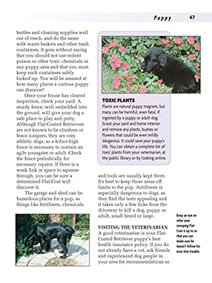 Flatcoated Retriever (Companionhouse Books)