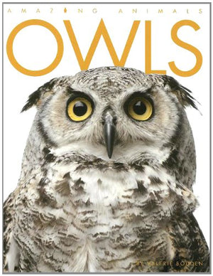 Owls (Amazing Animals),Used