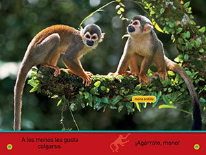 National Geographic Readers: Agrrate, Mono! (Prereader)Spanish Edition,Used