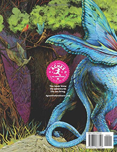 Agnes and the Butterfly Dragon (Agnes the Adventurer),Used