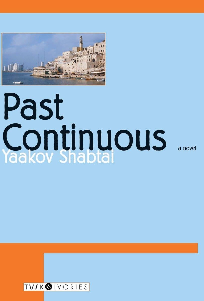 Past Continuous,Used