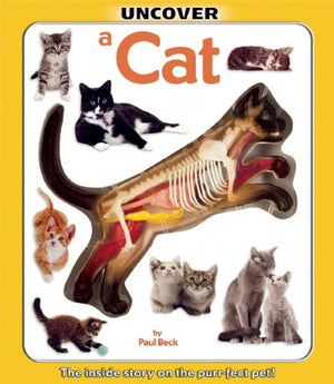 Uncover a Cat (Uncover Books),Used