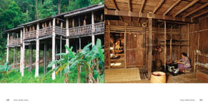 Tribe: Endangered Peoples Around the World,Used