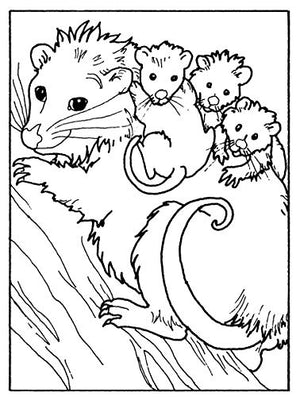 Little Zoo Animals Coloring Book (Dover Little Activity Books: Animals),New