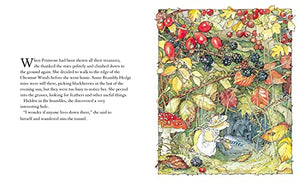 Autumn Story: Introduce children to the seasons in the gorgeously illustrated classics of Brambly Hedge!,Used
