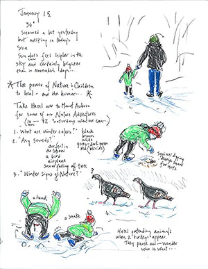 A Year In Nature: A Memoir Of Solace