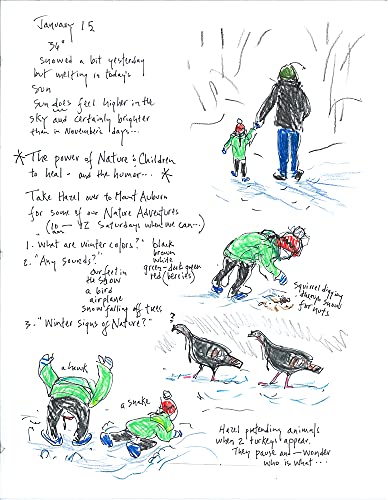 A Year In Nature: A Memoir Of Solace