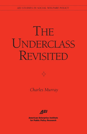 The Underclass Revisited (Aei Studies In Social Welfare Policy),Used