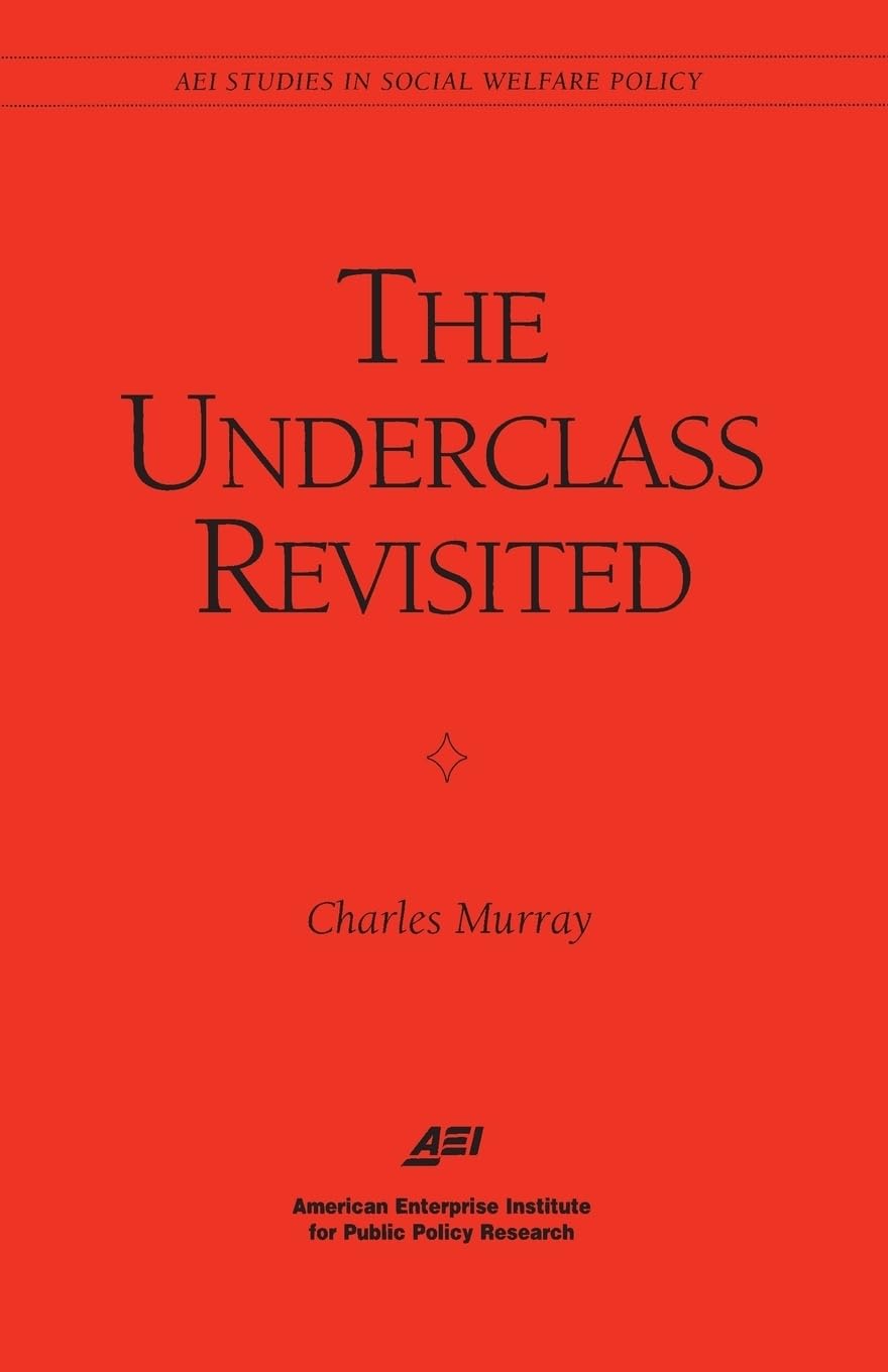 The Underclass Revisited (Aei Studies In Social Welfare Policy),Used