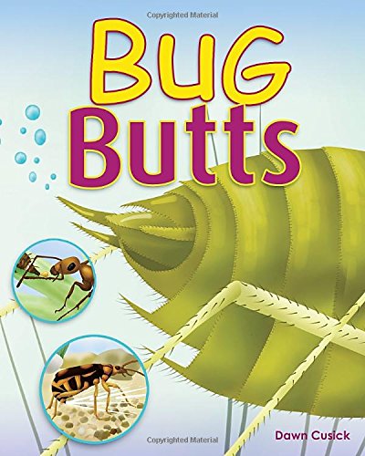 Bug Butts,Used