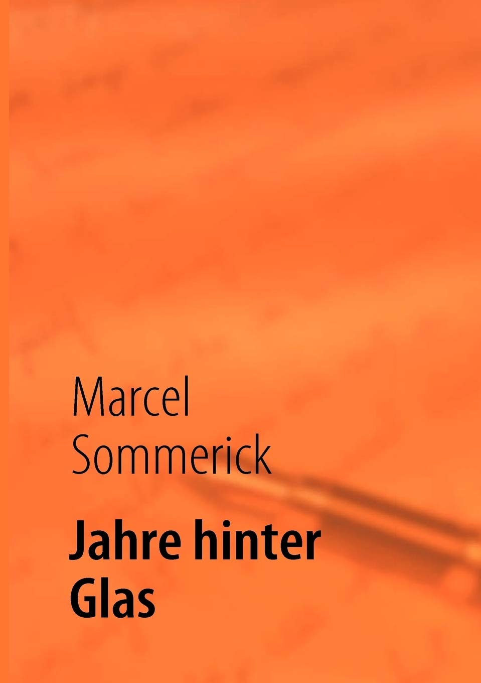 Jahre hinter Glas (German Edition),Used