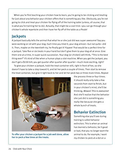 Click With Your Chick: A Complete Chicken Training Course Using The Clicker (Companionhouse) Train Hens To Come When Called, Per