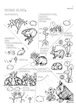 The Biology Coloring Book,Used
