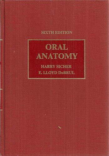 Oral Anatomy