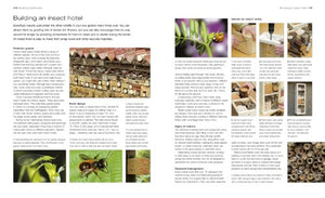 How to Create an Eco Garden: The practical guide to greener, planetfriendly gardening. Stepbystep techniques, a directory of ,Used