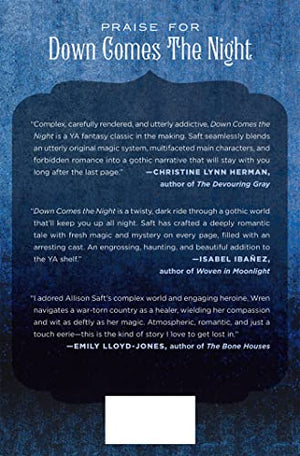 Down Comes The Night: A Novel