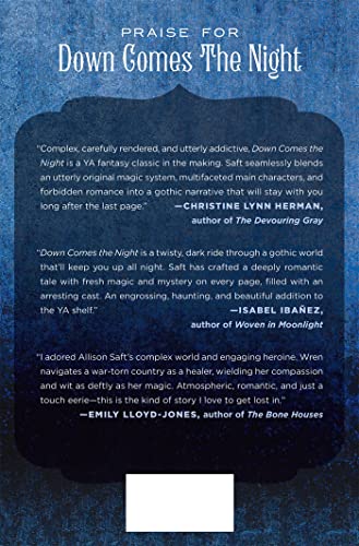 Down Comes The Night: A Novel