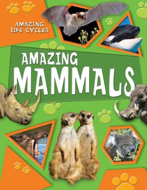 Amazing Mammals (Amazing Life Cycles),Used