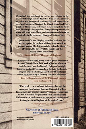 Homestead: The Households of a Mill Town,Used