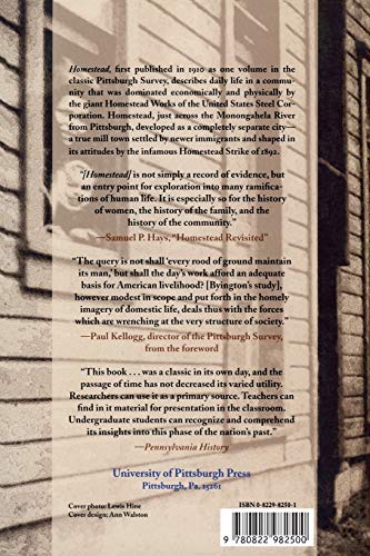 Homestead: The Households of a Mill Town,Used