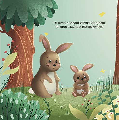 Te Amo Cuando Est?s Enojado (I Love You When You're Angry) (Spanish Edition),Used