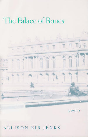 The Palace Of Bones (Hollis Summers Poetry Prize),Used