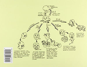 Clinical Physiology Made Ridiculously Simple,Used