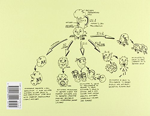 Clinical Physiology Made Ridiculously Simple,Used